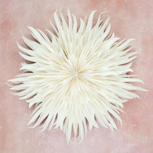 Load image into Gallery viewer, Giant Peony Wall Decoration - 70cm