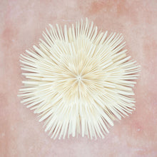 Load image into Gallery viewer, Giant Sunburst Wall Decoration - 60cm