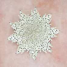 Load image into Gallery viewer, Giant Spotted Dahlia Wall Decoration - 60cm